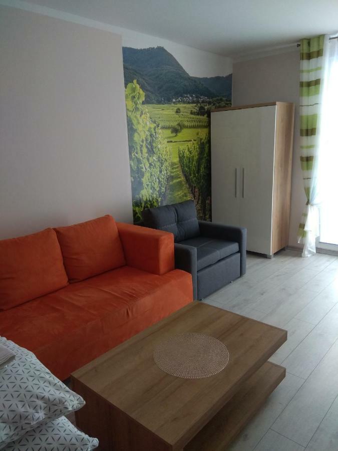 Apartament Winnica Centrum Zielona Góra Exterior foto